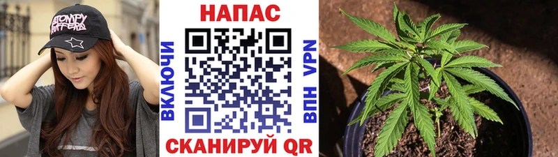 Бошки Шишки OG Kush  маркетплейс клад  Северская 